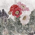 Miniatura fototapety Kolorowe kwiaty maku wśród liści