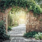 Miniatura fototapety Kamienny łuk w zieleni