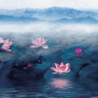 Miniatura fototapety Lilie i lotos na wodzie