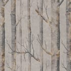 Miniatura fototapety Pnie drzew w szarościach