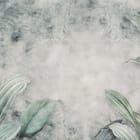 Miniatura fototapety Zielone liście na szarym tle