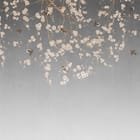 Miniatura fototapety Sakura na szarym tle