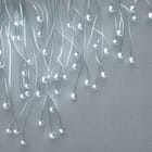 Miniatura fototapety Srebrne gałązki na szarym tle