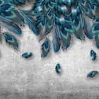 Miniatura fototapety Niebieskie pióra na szarym tle