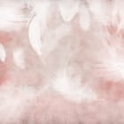 Miniatura fototapety Białe pióra na różowym tle