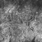 Miniatura fototapety Kwiaty z Zarysowanymi Konturami