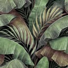 Miniatura fototapety Tropikalne liście na ciemnym tle