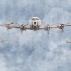 Miniatura fototapety Samoloty w Formacji na Niebie