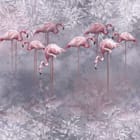 Miniatura fototapety Różowe Flamingi w Wodzie