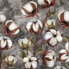 Miniatura fototapety Kwiaty bawełny na gałęziach