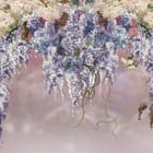 Miniatura fototapety Kaskady wisterii i gałęzie