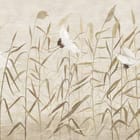 Miniatura fototapety Ptaki wśród wysokich traw