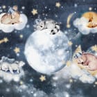 Miniatura fototapety Zwierzęta na chmurach w nocy