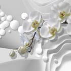 Miniatura fototapety Storczyki na szarym tle