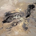 Miniatura fototapety Abstrakcyjne Wiry Fluid Art