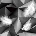 Miniatura fototapety Białe pióra na geometrycznym tle