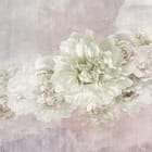 Miniatura fototapety Bukiet białych piwonii na tle