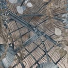 Miniatura fototapety Rośliny pnące na konstrukcji