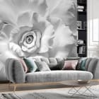 Miniatura fototapety Biały kwiat z bliska we wnętrzu salonu