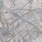 Miniatura fototapety Szklana oaza z liśćmi palmowymi