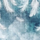 Miniatura fototapety Białe pióra na niebieskim tle