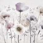 Miniatura fototapety Delikatne maki w pastelowych barwach