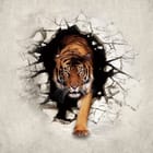 Miniatura fototapety Tygrys wychodzący z pęknięcia