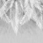 Miniatura fototapety Białe liście palmowe na szarym tle