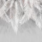 Miniatura fototapety Białe liście palmowe na szarości