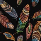 Miniatura fototapety Kolorowe pióra na czarnym tle