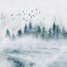 Miniatura fototapety Mglisty Las Iglasty