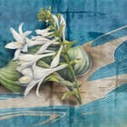 Miniatura fototapety Białe lilie na tle natury