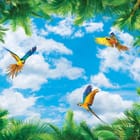 Miniatura fototapety Papugi na tle nieba