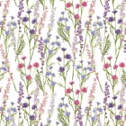 Miniatura fototapety Kolorowe kwiaty polne na białym tle