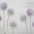 Miniatura fototapety Fioletowe kwiaty na cegle