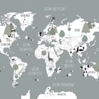 Miniatura fototapety Mapa świata dla dzieci z zwierzętami
