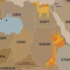 Miniatura fototapety Mapa świata z kontynentami i zwierzętami fragment #2