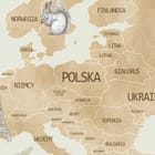 Miniatura fototapety Mapa świata z ilustracjami zwierząt fragment #1