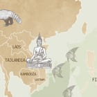 Miniatura fototapety Mapa świata z ilustracjami zwierząt fragment #2