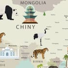 Miniatura fototapety Mapa świata z fauną dla dzieci fragment #2