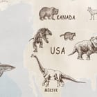 Miniatura fototapety Mapa świata dla dzieci z kontynentami fragment #2