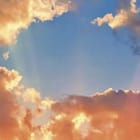 Miniatura fototapety Zachód słońca nad polem pszenicy fragment #2