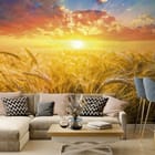 Miniatura fototapety Zachód słońca nad polem pszenicy we wnętrzu salonu