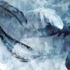 Miniatura fototapety Niebieskie pióra na tle