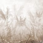 Miniatura fototapety Spokojny krajobraz z trawami