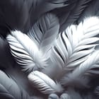 Miniatura fototapety Zbliżenie białych piór na ciemnym tle