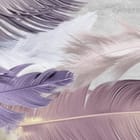 Miniatura fototapety Kolorowe pióra na szarym tle fragment #1