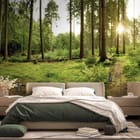 Miniatura fototapety Las o świcie z wysokimi drzewami we wnętrzu sypialni