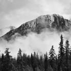 Miniatura fototapety Górska sceneria z drzewami iglastymi