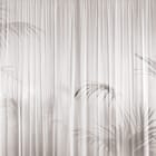 Miniatura fototapety Cienie liści na jasnej zasłonie